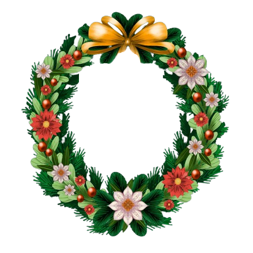 removebg preview webp