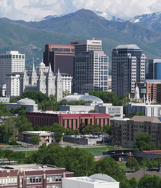 Handyman Landscape Services to Keep Your Property Looking Its Best